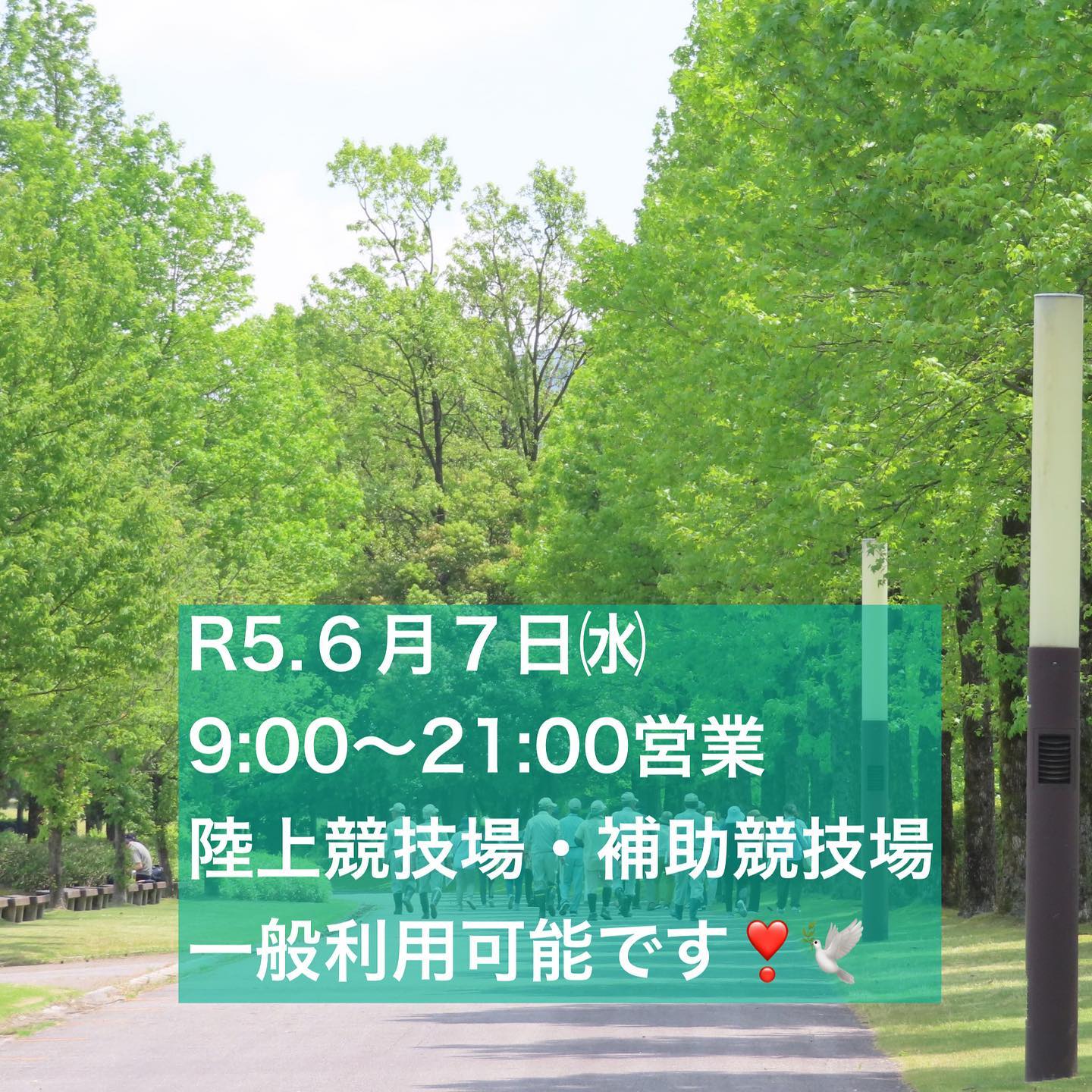 2023.6.7
本日陸上競技場、トレーニングルームは一般開放しております🙋🏻♀️
▷9:00〜21:00営業☻
最近、県総にはツバメがたくさん出現しています。。
室内で巣作りをしていたりもしていて、日々ツバメとの戦いです😂
#富山県総合運動公園#陸上競技場#陸上競技#トレーニングルーム#ジム#富山ジム#筋トレ#トレーニングジム#サッカー#カターレ富山#スポーツ#運動#マラソン#陸上女子#散歩#公園#公園デート#ふわふわドーム#富山遊具#屋内グラウンド#野球場#芝生施設#人工芝#屋内施設#富山県#クロスカントリーコース#つばめの巣